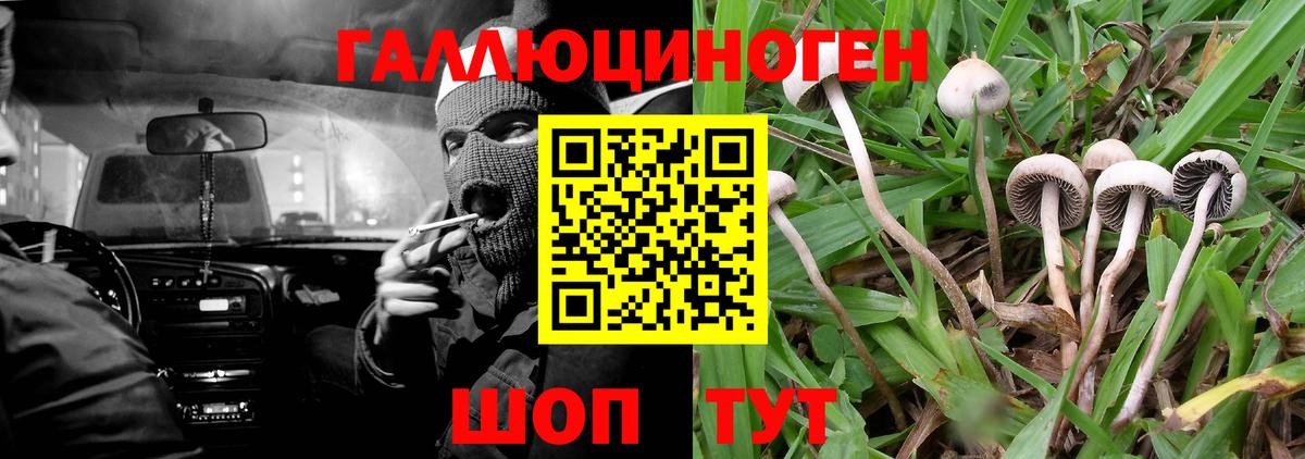 Галлюциногенные грибы прущие грибы Зерноград