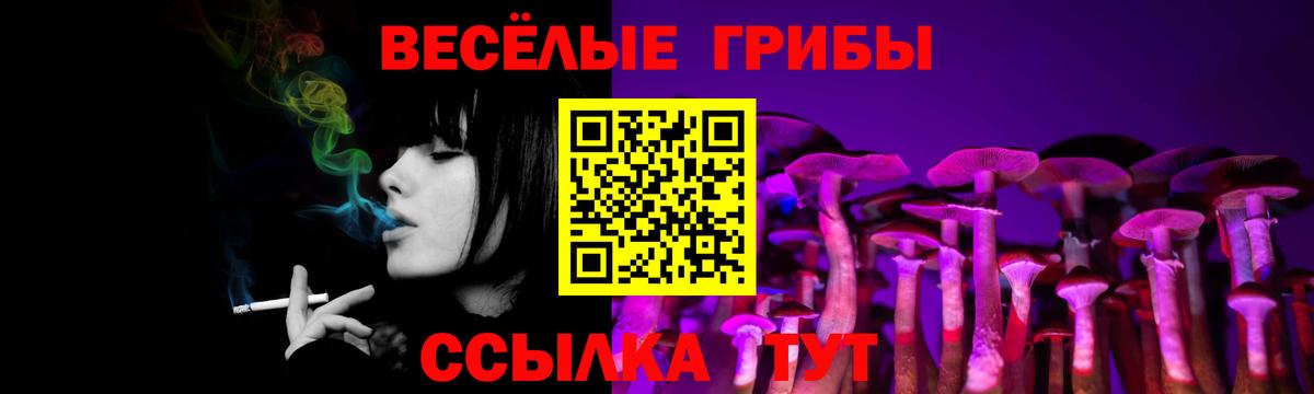 Зерноград  Галлюциногенные грибы Psilocybe  Вход с VPN 