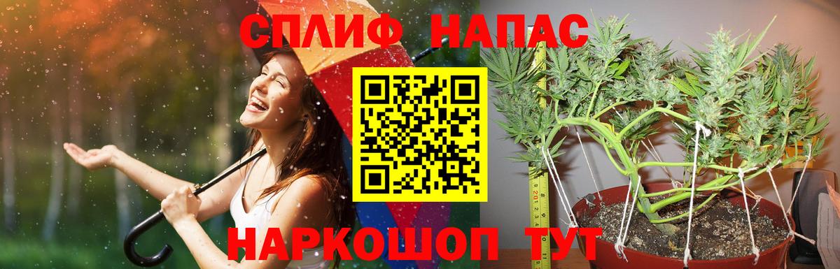 Марихуана THC 21%  МАРИХУАНА SATIVA & INDICA  Вход с VPN  Зерноград  МАРИХУАНА OG Kush 